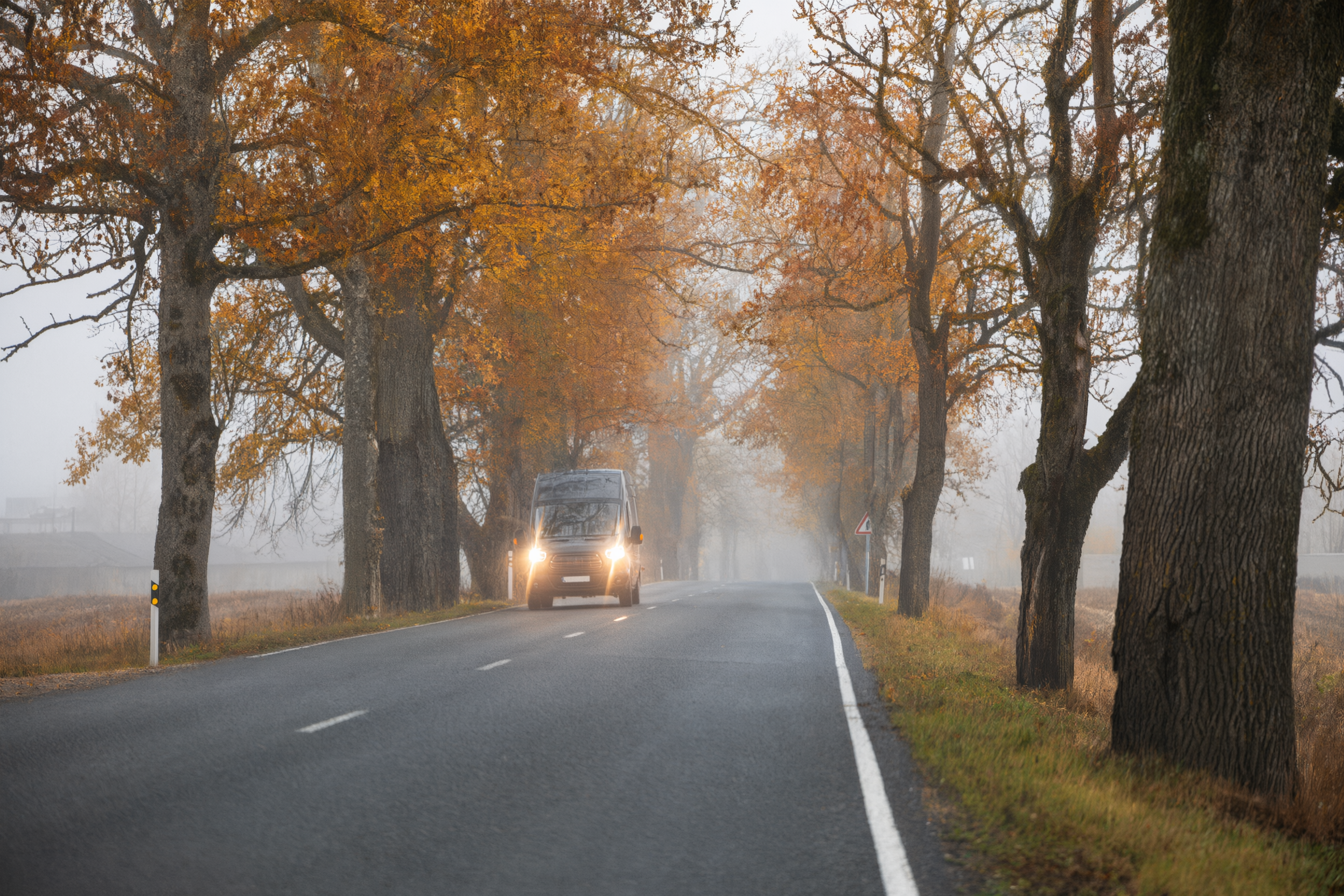 Dark blue car with headlights illuminated on a winding road surrounded by autumn trees during fall driving conditions.